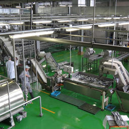 На Сахалине запустили современный завод по производству рыбных консервов