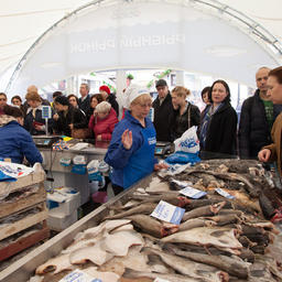 На семи площадках в центре Москвы было установлено несколько десятков шале, в которых торговали рыбой и морепродуктами