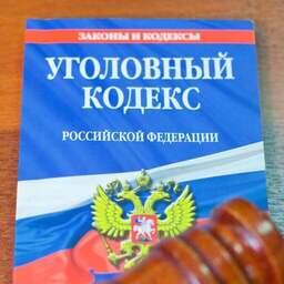 Жительницу Хабаровского края обвиняют в незаконном обороте 17,6 кг осетрины