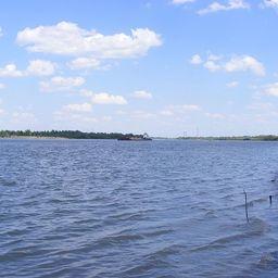 Река Иртыш в Омском районе. Фото sergey trubitsyn («Википедия»)