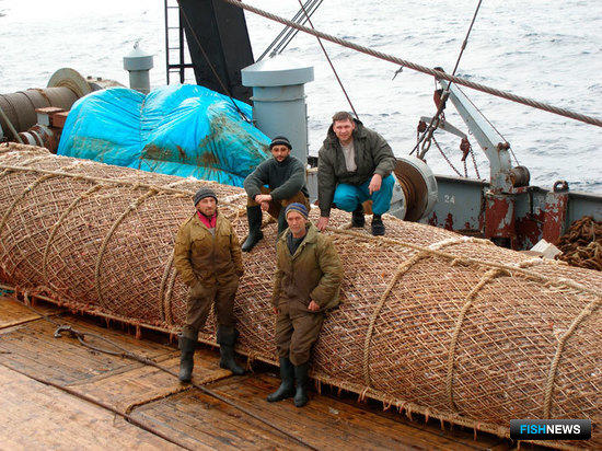 Финансовая эффективность российской рыбной отрасли за пять лет увеличилась почти в десять раз. 
