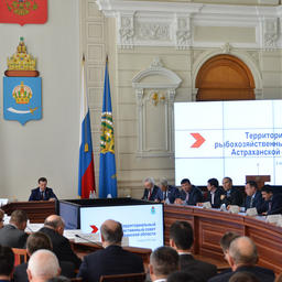 Заседание рыбохозяйственного совета Астраханской области. Фото пресс-службы главы региона