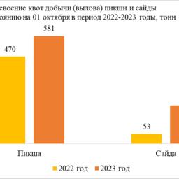 Освоение пикши и сайды за девять месяцев 2022 и 2023 гг. Графика пресс-службы агентства по рыболовству Калининградской области