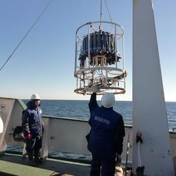 Наблюдения показали, что улучшения кислородного режима придонных вод в глубоководной части акватории не произошло. Фото пресс-службы АтлантНИРО