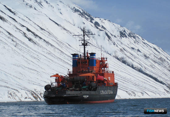 Ледокольно-спасательное судно «Сибирский». Фото сделано членами экипажа