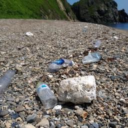 Пластиковый мусор на побережье Приморья