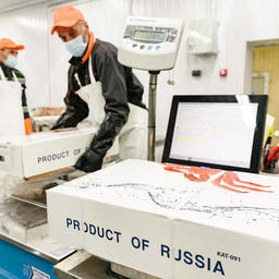 «Антей» развивает береговое производство продукции из краба в Мурманской области. Фото пресс-службы правительства региона