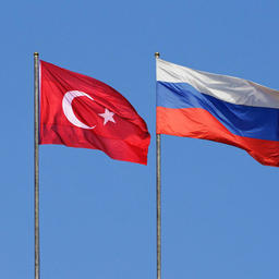 Россия и Турция обсудили вопросы поставок рыбной продукции