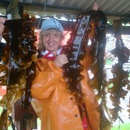 Тихоокеанский филиал ВНИРО работают над программой использования морского растительного сырья в сельском хозяйстве. Фото пресс-службы ТИНРО