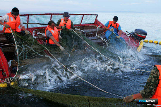 Цены на перевозку рыбы остаются на повестке дня