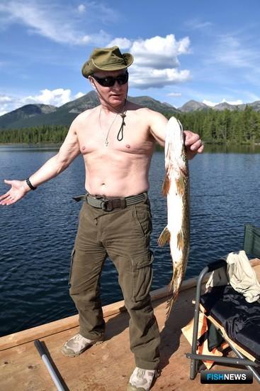 На отдыхе в Республике Тыва глава государства Владимир ПУТИН занялся подводной охотой и рыбалкой на каскаде горных озер. Фото пресс-службы президента