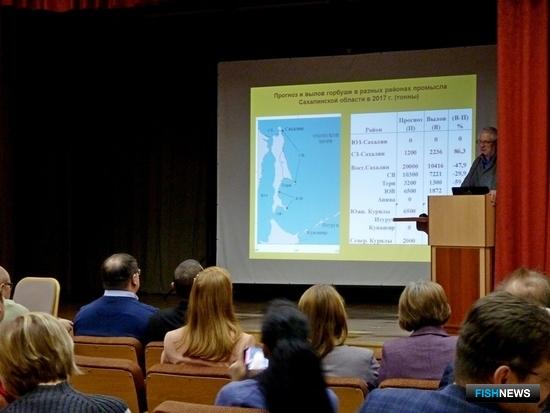 Прогноз вылова тихоокеанских лососей для Сахалинской области на 2018 г. представили в СахНИРО. Фото пресс-службы института