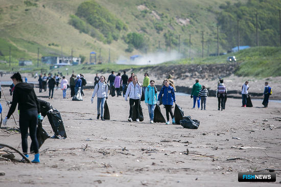 Добровольцы собрали порядка 1 тыс. мешков с мусором. Фото пресс-службы фонда «Родные острова»