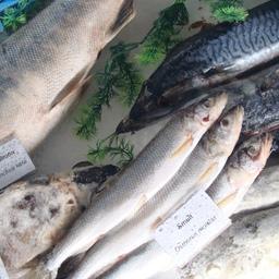 На фоне общего роста поставок продукции АПК на внешние рынки стоимость экспорта рыбы снизилась по итогам 2020 г.