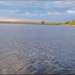Водохранилище в районе поселка Браиловский. Кадр из видео на канале Генпрокуратуры РФ