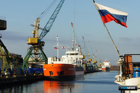 Калининградский рыбный порт вольется в состав «Нацрыбресурса». Фото с сайта правительства Калининградской области