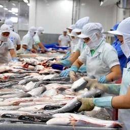 В 2018 г. Вьетнам экспортировал рыбопродукции на 9 млрд долларов. Фото Vietnamnet.