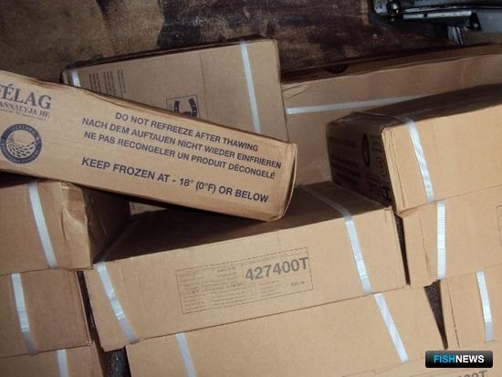 В Брянской области выявили более тонны незаконно ввезенной мойвы. Фото пресс-службы Россельхознадзора