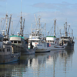 Рыбацкие лодки у причала в Стевестоне. Фото с сайта The Tyee