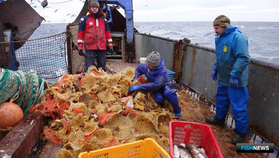 Сахалинский НИИ рыбного хозяйства и океанографии провел весеннюю траловую съемку у Северных Курил. Фото пресс-службы СахНИРО