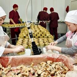 Ямальские компании наращивают объемы переработки рыбы. Фото пресс-службы правительства ЯНАО