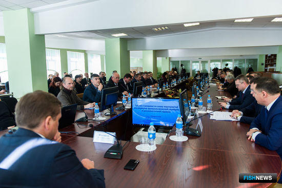 Рабочее совещание по плану мероприятий для развития промысла японской скумбрии и дальневосточной сардины (иваси) во Владивостоке. Фото пресс-службы Дальрыбвтуза