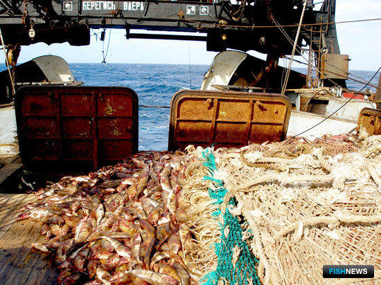 Экологические аспекты рыболовства и сертификация по стандартам MSC