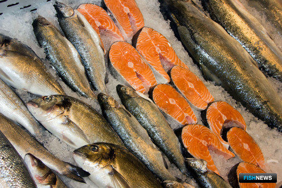 Импортеров норвежской рыбы обвинили в разделе рынка