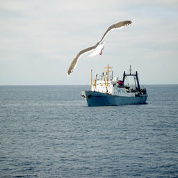 Рыболовное судно на Дальнем Востоке