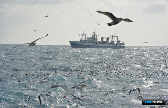 ПАО «Океанрыбфлот» выдвинуло для участия во Всероссийском съезде работников рыбного хозяйства 12 делегатов. Фото пресс-службы компании