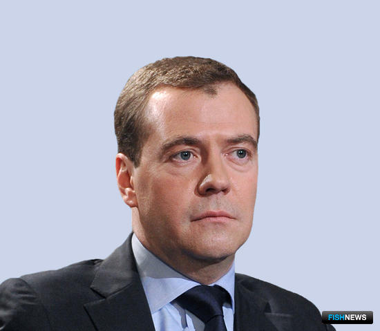 Председатель Правительства РФ Дмитрий МЕДВЕДЕВ. Фото пресс-службы кабмина