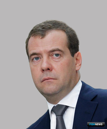 Глава Правительства Дмитрий МЕДВЕДЕВ. Фото пресс-службы кабмина