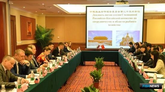 В Шэньчжэне прошла 25-я сессия Смешанной российско-китайской комиссии по сотрудничеству в области рыбного хозяйства. Фото пресс-службы Росрыболовства