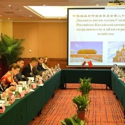 В Шэньчжэне прошла 25-я сессия Смешанной российско-китайской комиссии по сотрудничеству в области рыбного хозяйства. Фото пресс-службы Росрыболовства