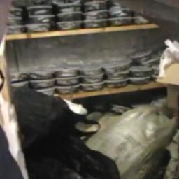 В Красноярском крае полицейские изъяли большую партию браконьерской продукции из осетровых. Кадр оперативной съемки