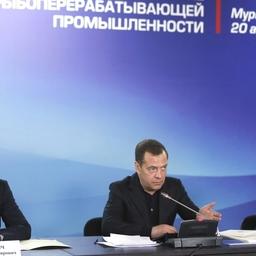 О вопросах рыбной отрасли премьер-министру Дмитрий МЕДВЕДЕВУ рассказали на совещании в Мурманской области. Фото пресс-службы правительства