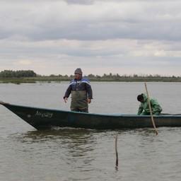 Рыбный промысел в Астраханской области. Фото пресс-службы правительства региона