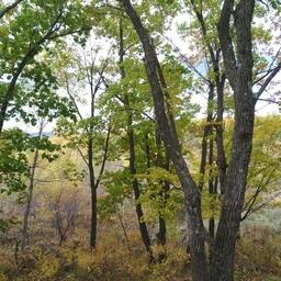 Окрестности села очень живописны