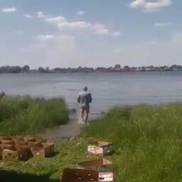 Животных выпустили в естественную среду обитания. Кадр оперативной съемки