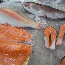 Пока неясно, на какие виды лососевой продукции распространится запрет и как долго он продлится