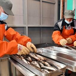 Ямал наращивает рыбоперерабатывающие мощности. Фото пресс-службы правительства ЯНАО