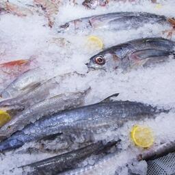 Изменения рынков сбыта собираются отразить в «рыбной» госпрограмме