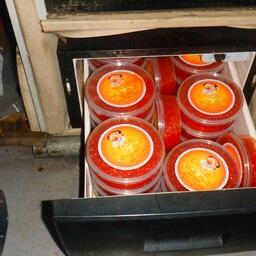 Контейнеры с икрой в автомобильном холодильнике. Фото пресс-службы Северо-Западного таможенного управления