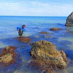 Сбор материала. Фото пресс-службы АзНИИРХ