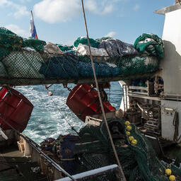 В отраслевом сообществе обсуждают новые правила выдачи разрешений на вылов