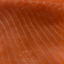 Российские ученые готовят методику распознавания ГМ-лосося