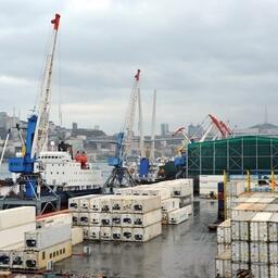 Рефконтейнеры во Владивостокском морском рыбном порту