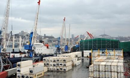 Рефконтейнеры во Владивостокском морском рыбном порту