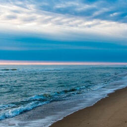 Специалисты филиала ВНИРО провели гидробиологические съемки на Новосибирском водохранилище. Фото пресс-службы института