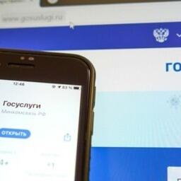 В этом году на портале госуслуг появилась возможность подать заявления на оформление промысловых разрешений. Фото пресс-службы Росрыболовства